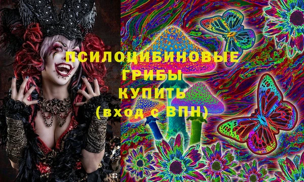 хмурый Армянск