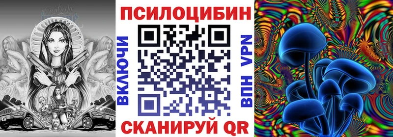 Псилоцибиновые грибы Psilocybe  Судак 
